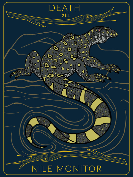Nile Monitor Tarot Card