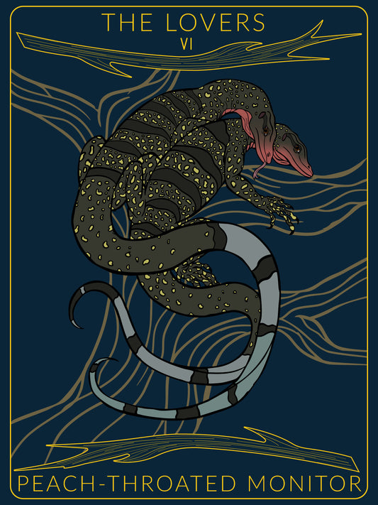 Peach-Throated Monitor Tarot Card