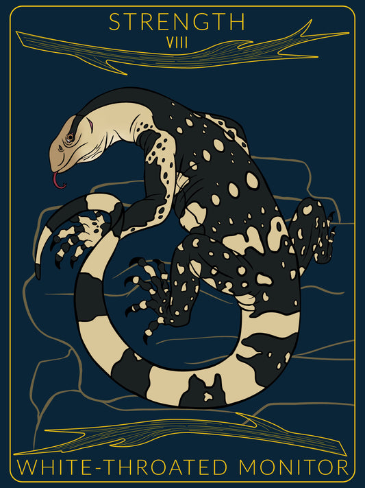 White-Throated Monitor